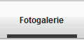 Fotogalerie